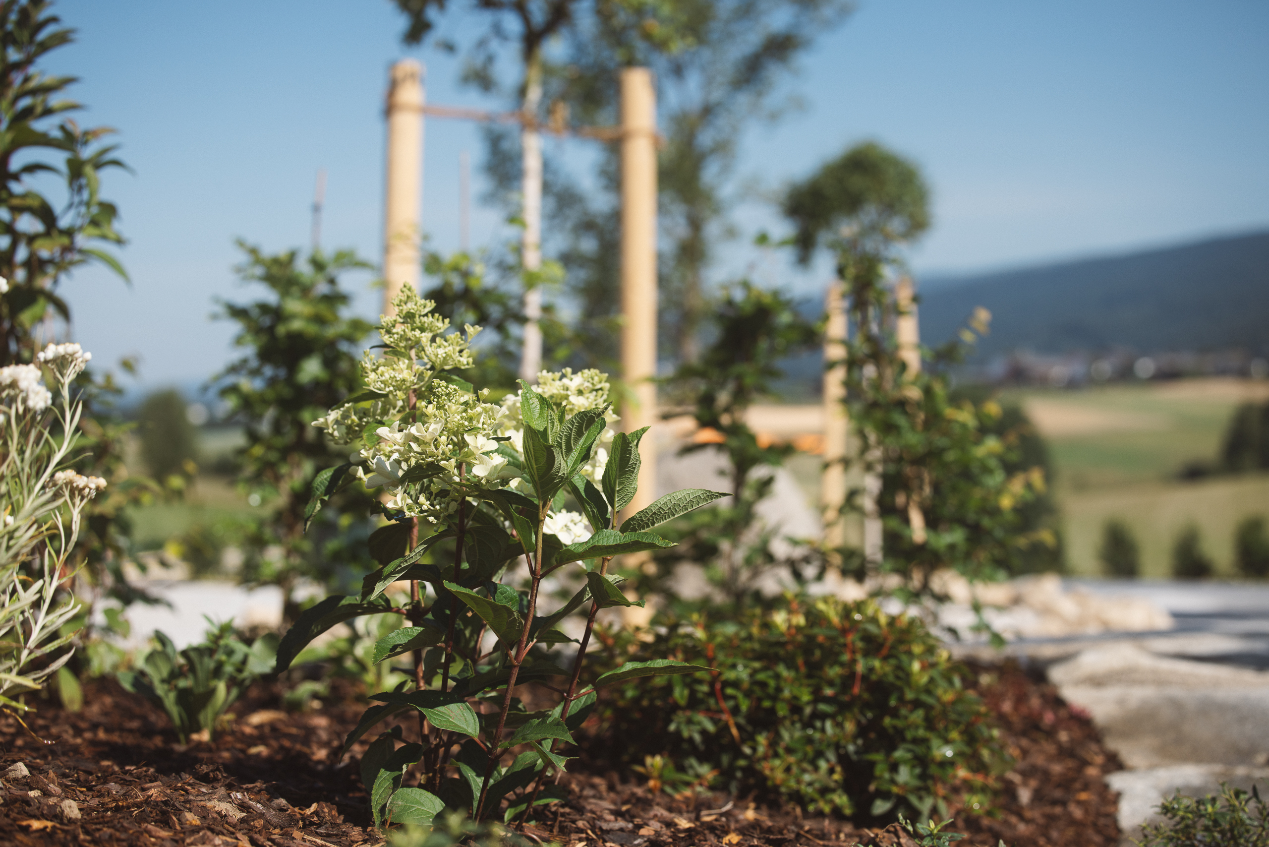 2025-Generationengarten-Ulrichsberg_MG_0057-c-Werner-Streitfelder